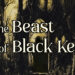 Moody Folkloric Fantasy – The Beast of Black Keep